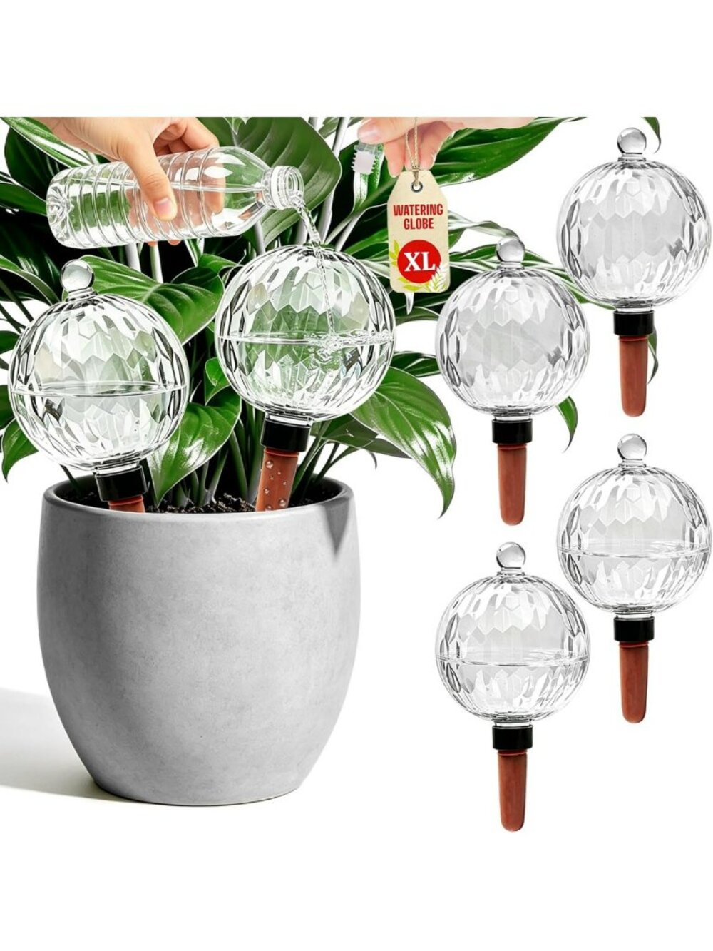 Extra Large Self-Watering Globes - 26oz Plant Water Bulbs for Indoor/Outdoor